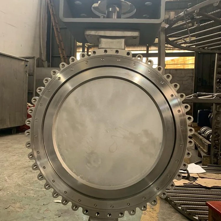 Lug Type Concentric Butterfly Valve best
